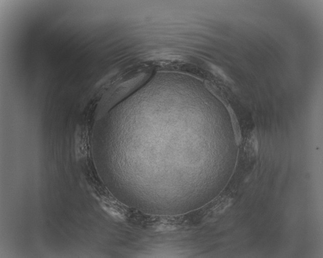 X0000072531014200607211444