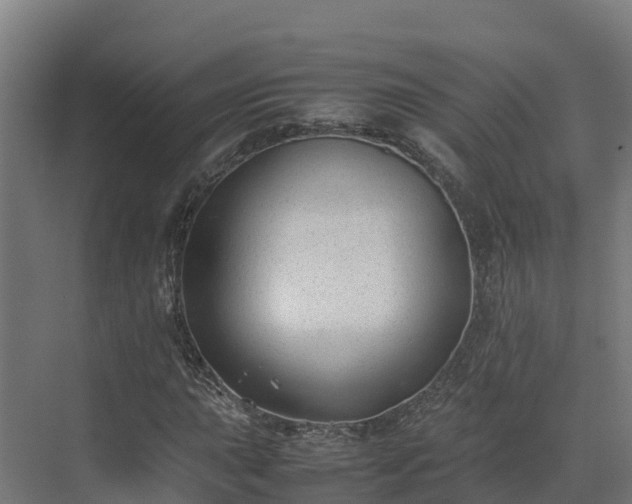 X0000072531015200607211444