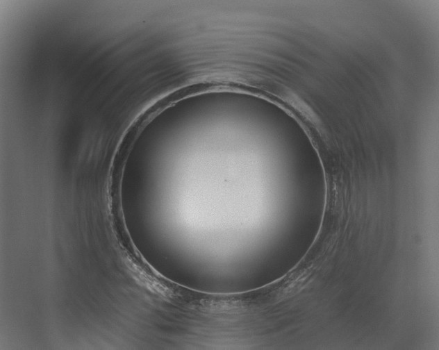 X0000072531020200607211444