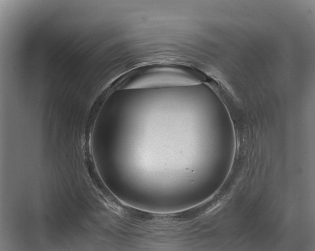 X0000072531065200607211443