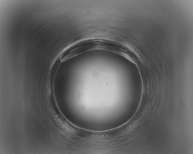 X0000072531069200607211443