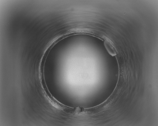 X0000072531082200607211443
