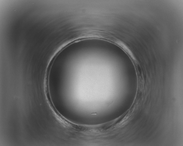 X0000072531101200607211443