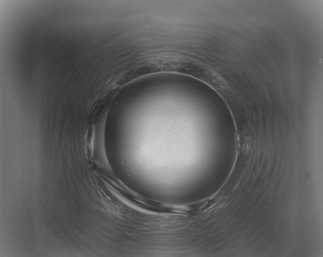 X0000072531108200607211442