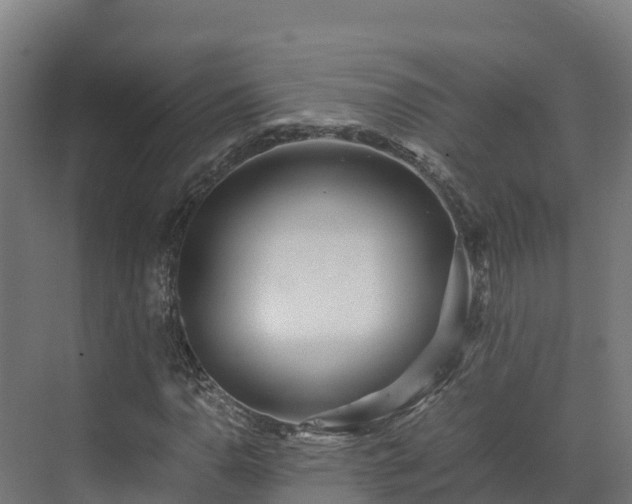 X0000072531110200607211442