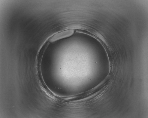 X0000072531116200607211442