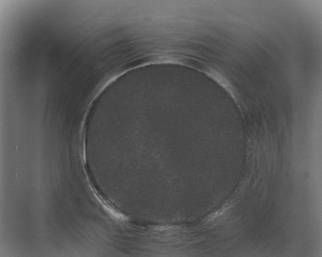 X0000072531127200607211442