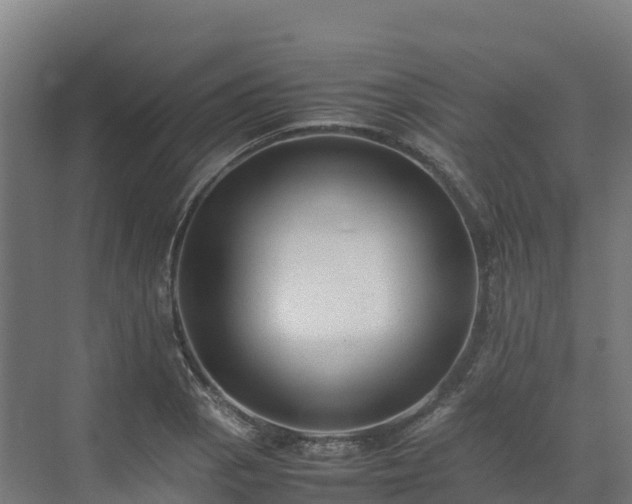 X0000072531129200607211442