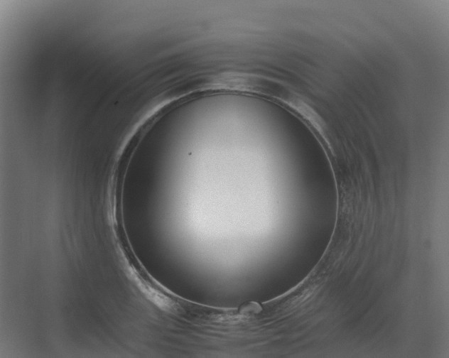 X0000072531131200607211442
