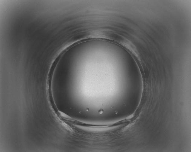 X0000072531133200607211442