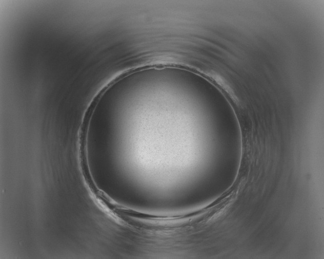 X0000072531134200607211442