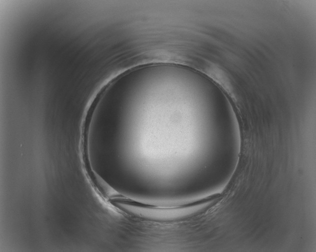 X0000072531136200607211442