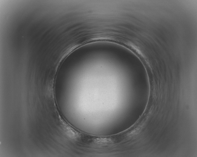 X0000072531137200607211442