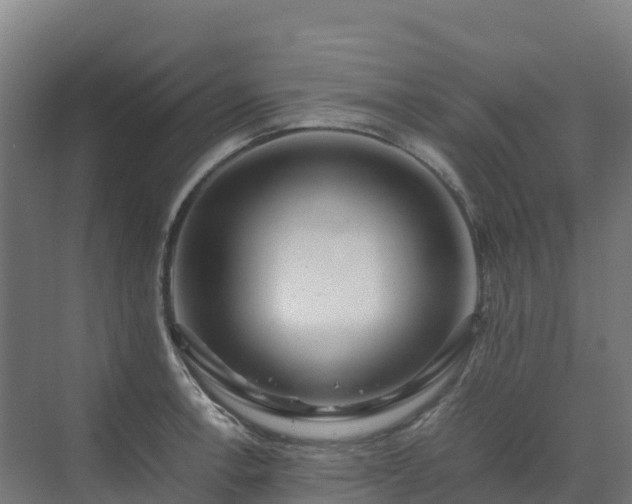 X0000072531138200607211442
