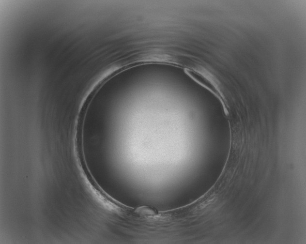 X0000072531139200607211442