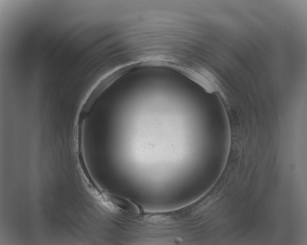 X0000072531140200607211442