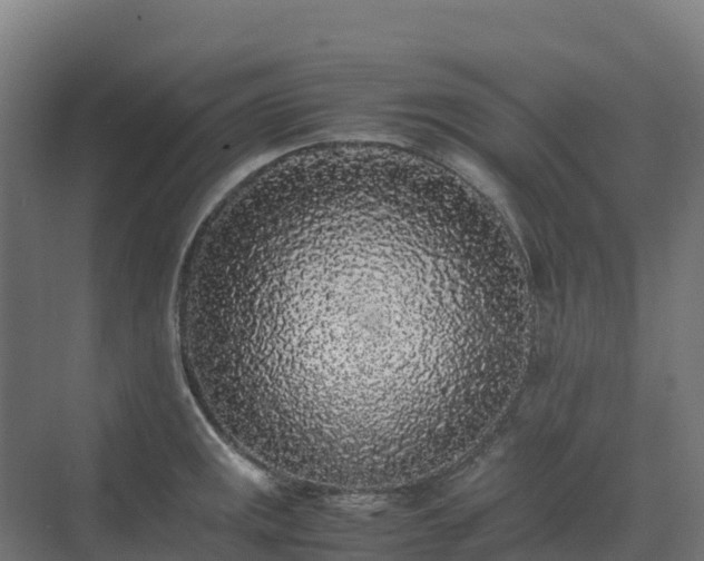 X0000072531141200607211442