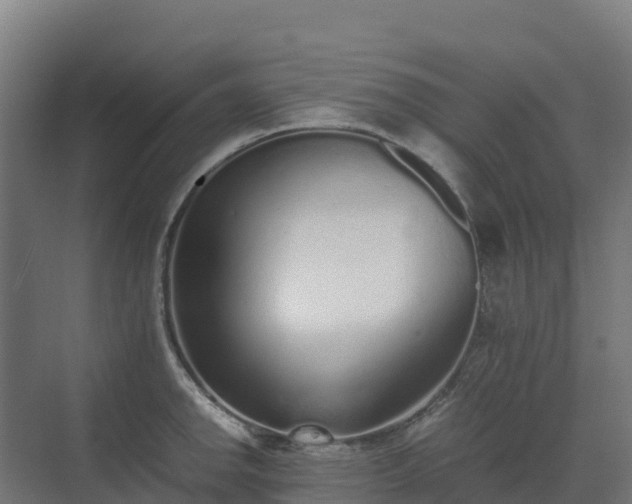 X0000072531142200607211442