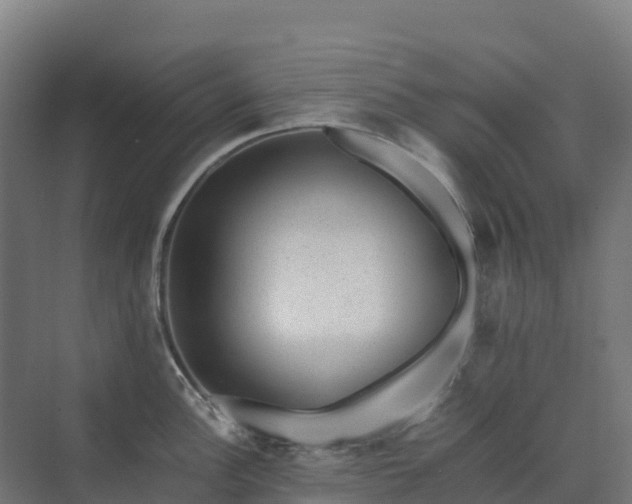 X0000072531148200607211443