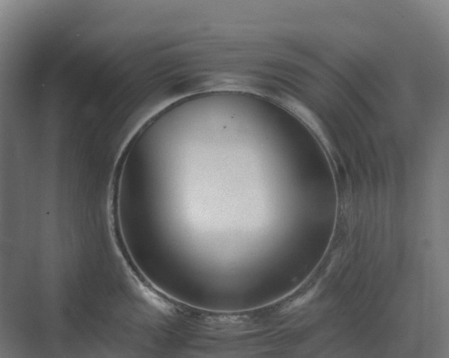 X0000072531149200607211443