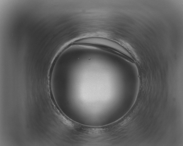 X0000072531184200607211441