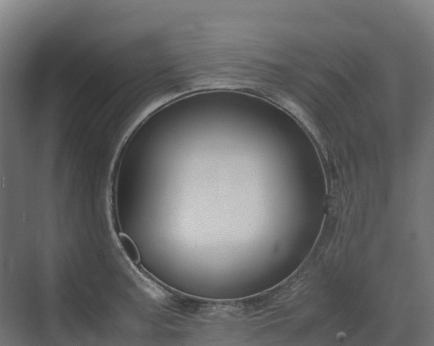 X0000072531187200607211441