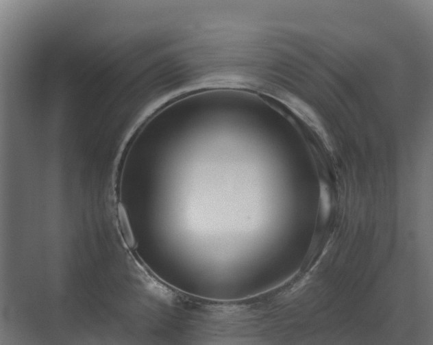 X0000072531192200607211441