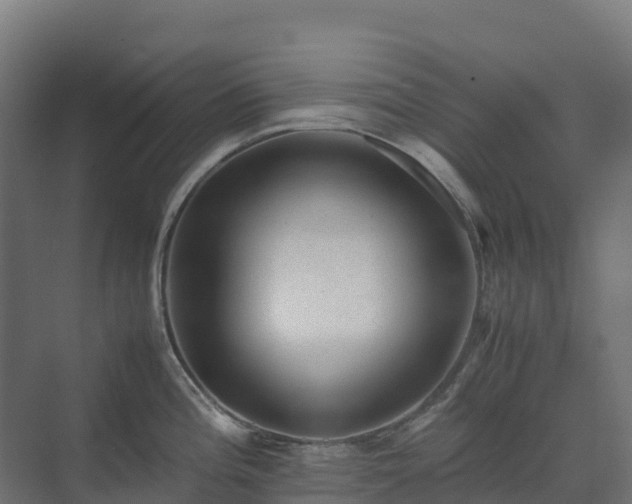 X0000072531196200607211441