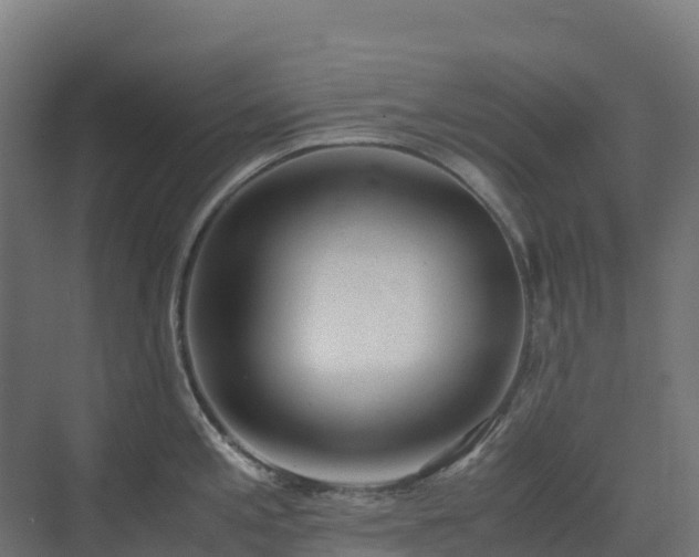 X0000072531197200607211441