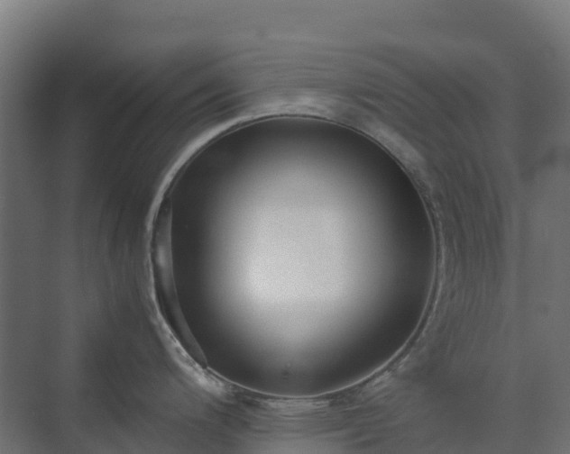 X0000072531200200607211441