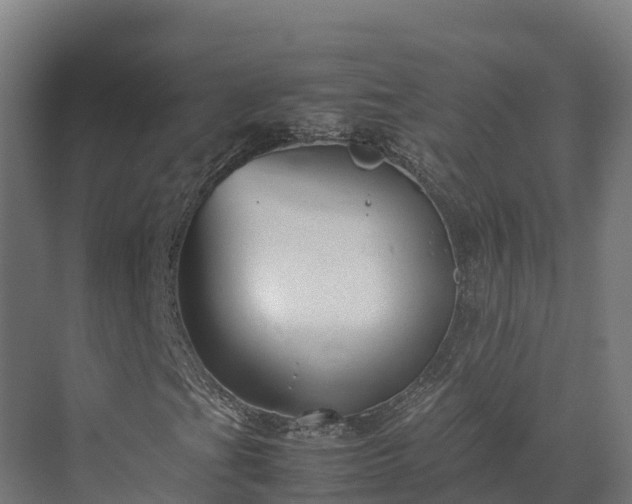 X0000072531201200607211440