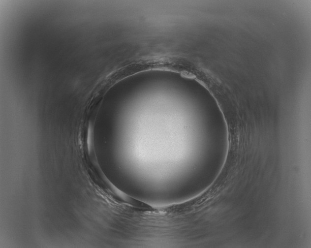 X0000072531206200607211440