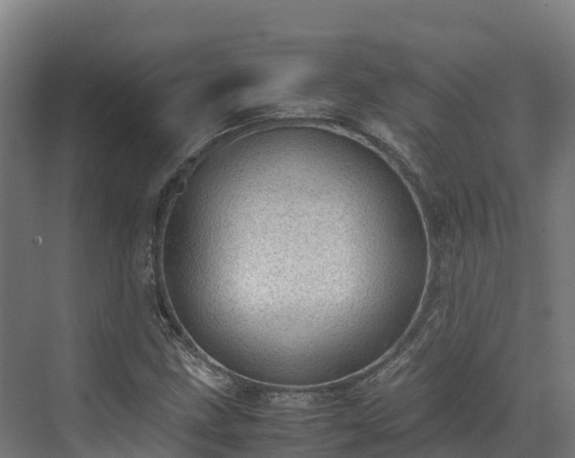 X0000072531211200607211440