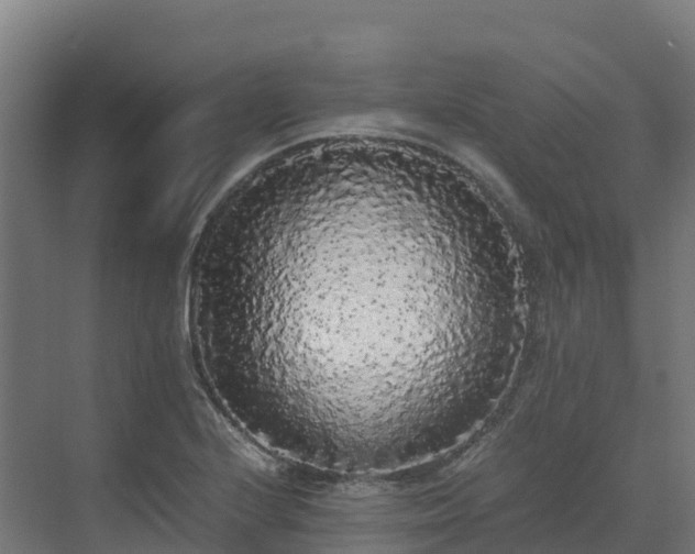 X0000072531224200607211441