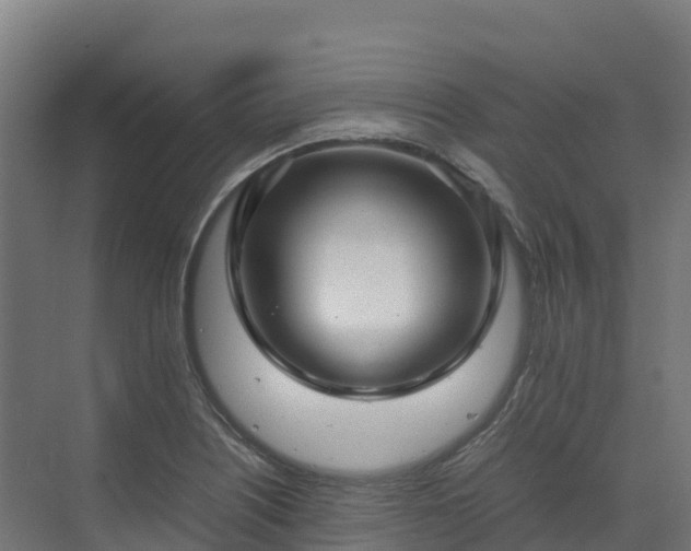 X0000072531226200607211441