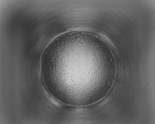 X0000072531228200607211441