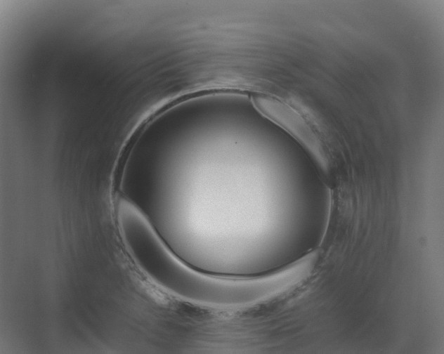X0000072531230200607211441