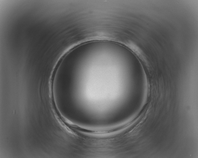 X0000072531238200607211441