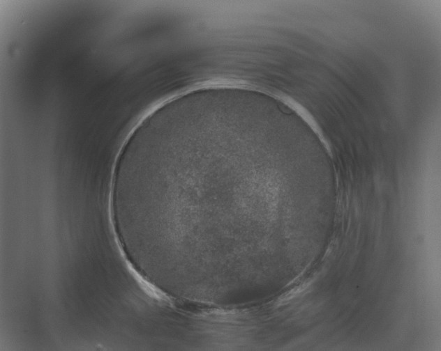 X0000072531245200607211441