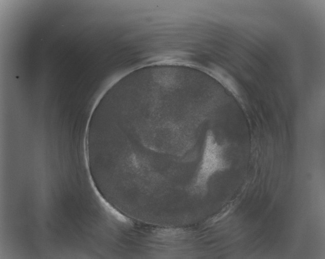 X0000072531247200607211441