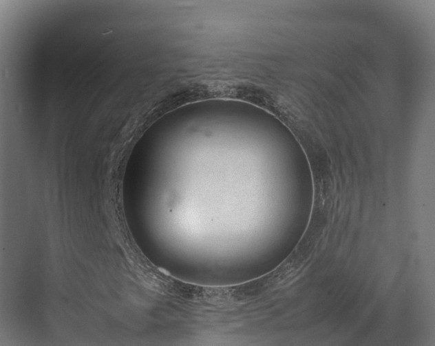 X0000072531249200607211440