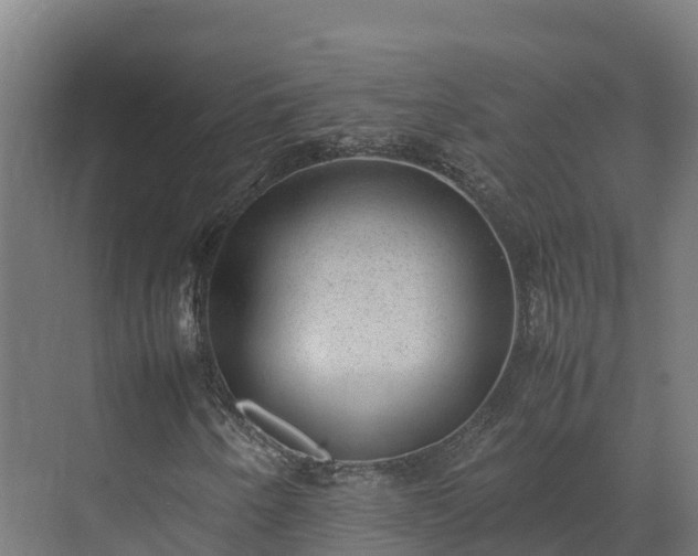 X0000072531250200607211440