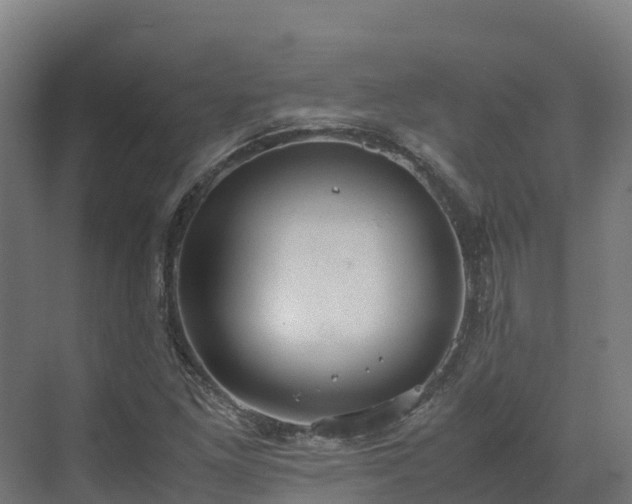 X0000072531261200607211440