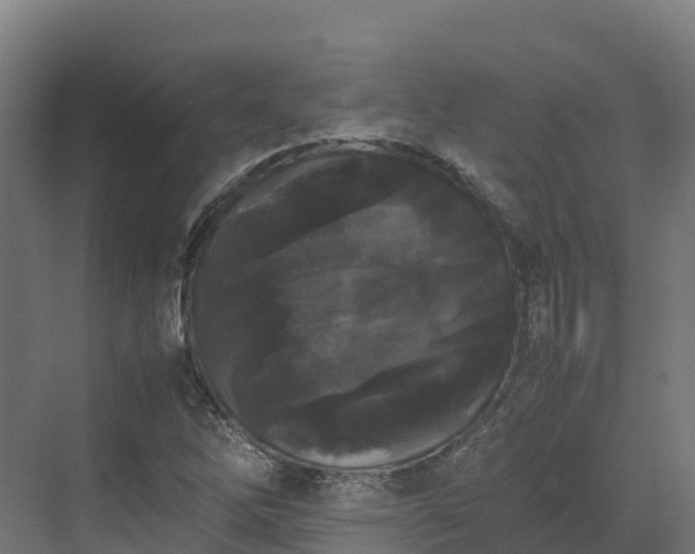 X0000072531262200607211440