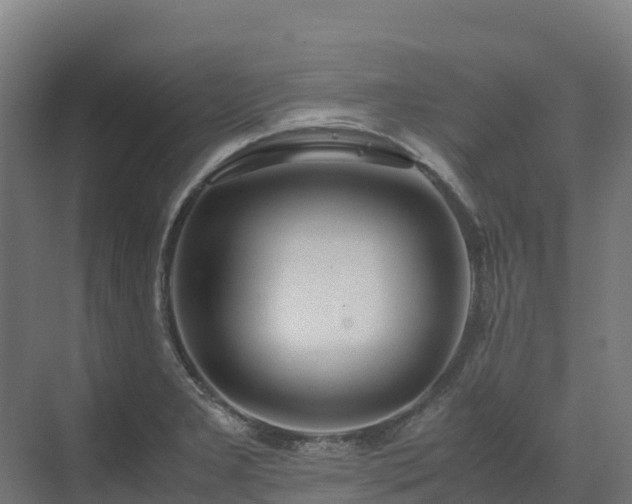 X0000072531277200607211440