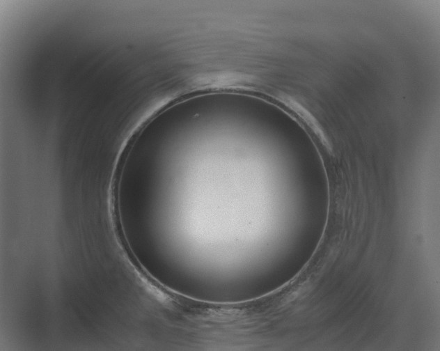 X0000072531285200607211440