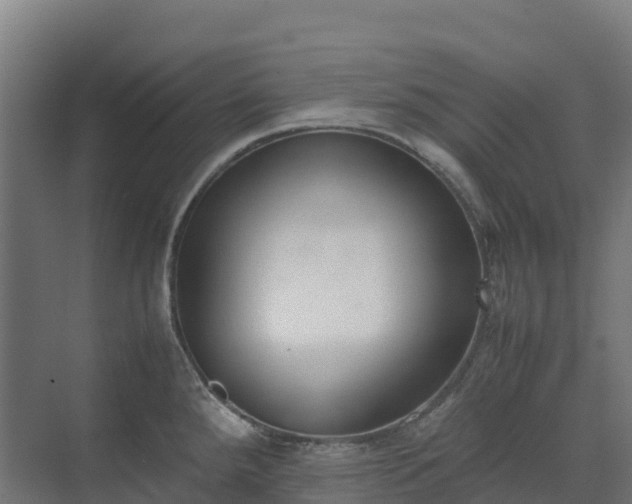 X0000072531288200607211440