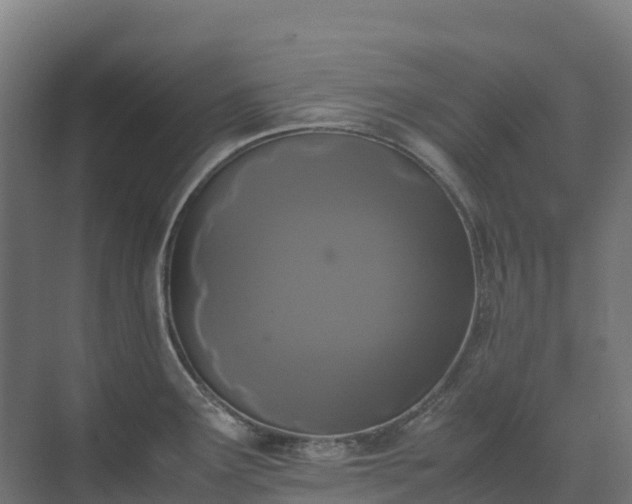 X0000072531291200607211439