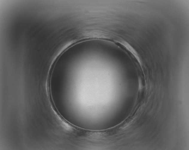 X0000072531293200607211439