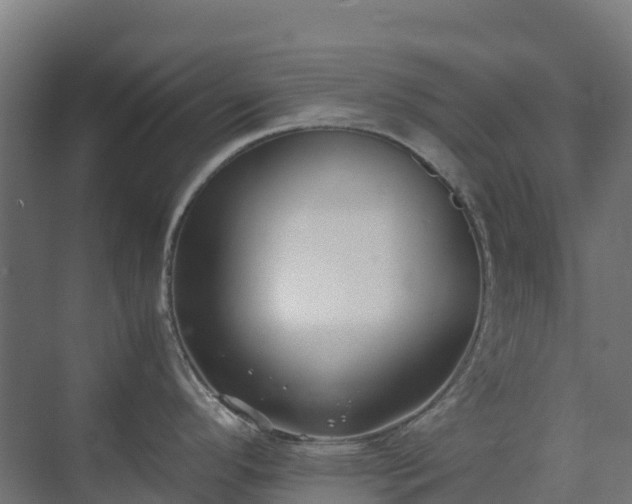 X0000072531296200607211439